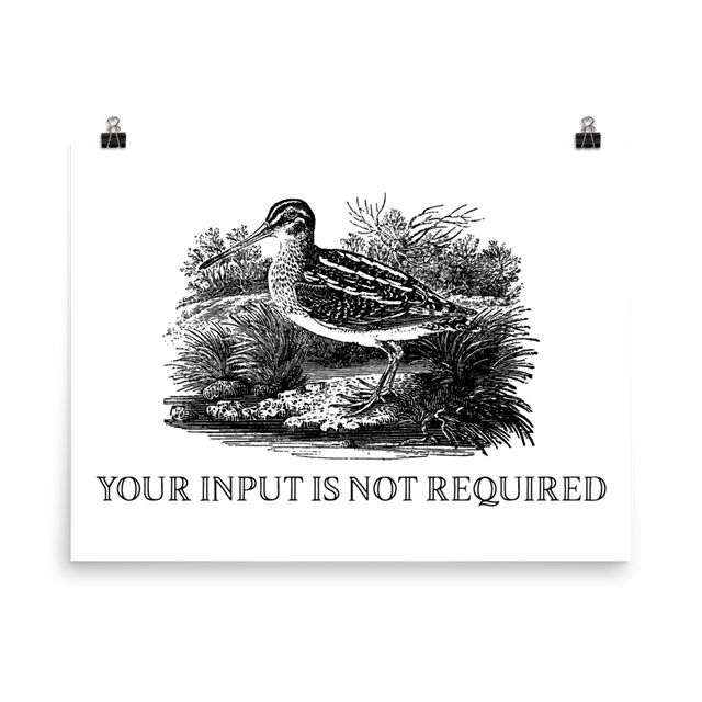 Input Not Required Poster